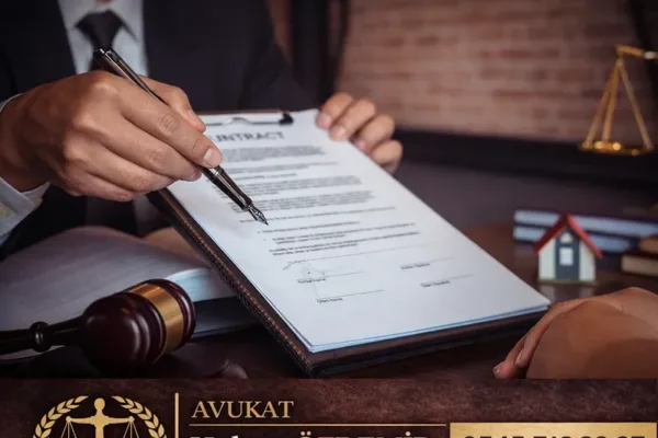 Babalık Davası Dilekçe Örneği