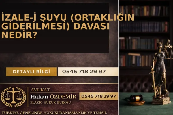 İzale-i Şuyu (Ortaklığın Giderilmesi) Davası Nedir?